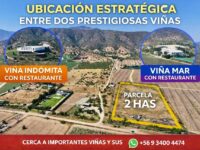 Oportunidad Venta 2 hás colindante a Viña Indómita y Viñamar sector Nuevo Mundo en Casablanca.